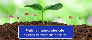 Vi lượng Chelate các loại