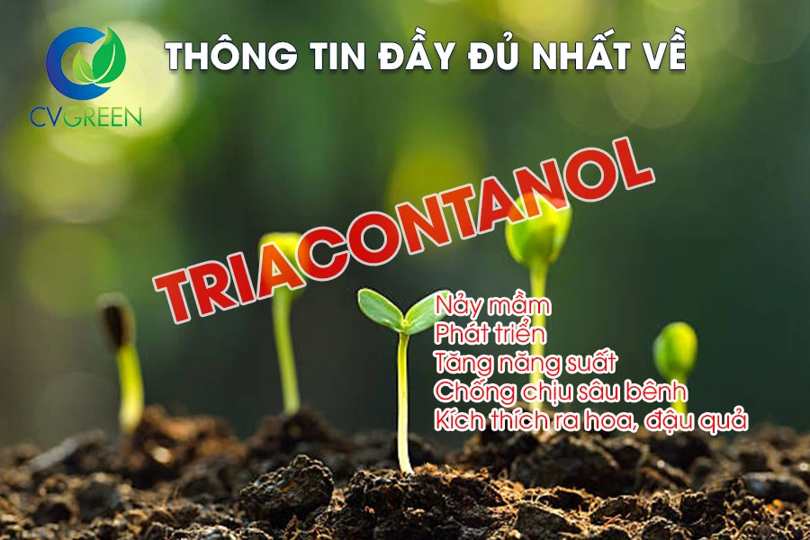 Triacontanol và công dụng tuyệt vời