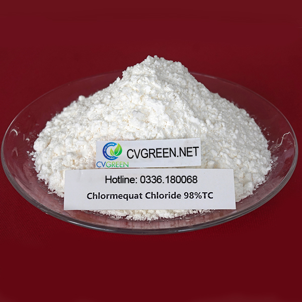 Chlormequat Chloride CCC 98% - kiểm soát đâm chồi, thúc đẩy sinh sản