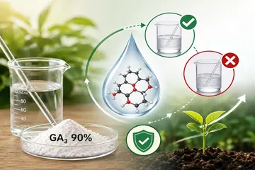 Tại sao GA3 90% tan tốt trong dung dịch kiềm loãng nhưng hiệu quả lại có thể giảm?
