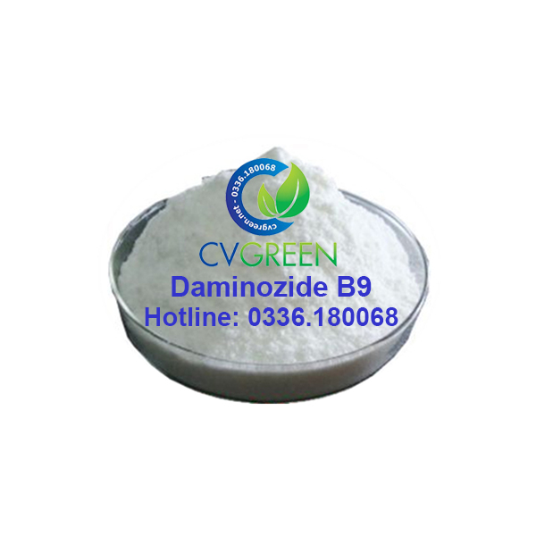 Daminozide B9 (cải thiện ra quả và ngăn ngừa rụng quả)