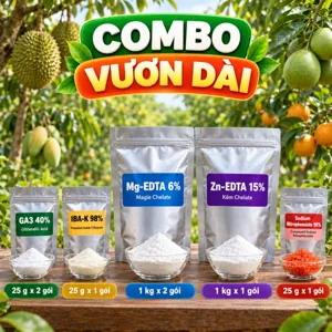 COMBO VƯƠN DÀI – Bộ phối trộn tham khảo lấy GA3 làm chính cho chè, đay, cỏ, mía cần kéo dài thân, lóng