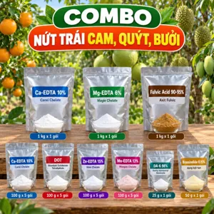 COMBO NỨT TRÁI CAM, QUÝT, BƯỞI – Bộ phối trộn tham khảo bổ sung canxi, bo và vi lượng giúp vỏ quả có múi bền hơn