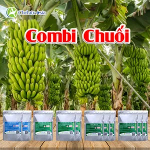 Hình bộ phối trộn COMBO COMBI 06 (CVGREEN)