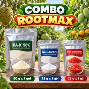 COMBO ROOTMAX – Bộ phối trộn tham khảo cho khâu nhân giống: nhúng, ngâm hom, ngâm cây phôi và tưới hồi rễ