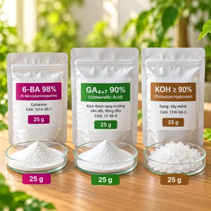COMBO 6BA-GA4/7 – Bộ phối trộn tham khảo 6-BA và GA4+7 cho bật chồi, đậu quả và định hình quả