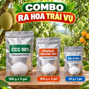 COMBO RA HOA TRÁI VỤ – Bộ phối trộn tham khảo chặn đọt bằng CCC, Mepiquat để cây ăn trái chuyển sang phân hóa mầm hoa
