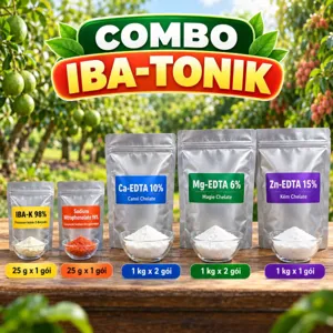 COMBO IBA-TONIK – Bộ phối trộn tham khảo auxin liều vừa kèm Ca, Mg, Zn chelate để tưới hồi rễ, phục hồi cây