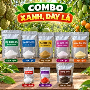 COMBO XANH, DÀY LÁ – Bộ phối trộn tham khảo nuôi tán, giữ màu lá và hồi sức cây sau thu hoạch, cắt tỉa
