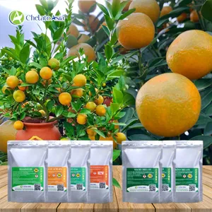 Hình bộ phối trộn COMBO QUẤT (TẮC), CÂY CÓ MÚI (CVGREEN)