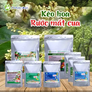 Hình bộ phối trộn COMBO KÉO HOA (CVGREEN)