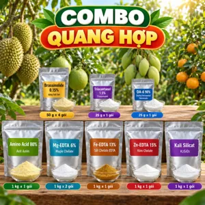 COMBO QUANG HỢP – Bộ phối trộn tham khảo nuôi bộ lá dày, xanh lâu và giữ nhịp quang hợp