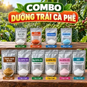 COMBO DƯỠNG TRÁI CÀ PHÊ – HỒ TIÊU – Bộ phối trộn tham khảo cung cấp trung vi lượng chelate khi cây mang trái