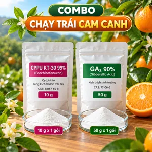 COMBO CHẠY TRÁI CAM CANH – Bộ phối trộn tham khảo GA3 và CPPU giữ trái non, hỗ trợ đậu trái cây có múi