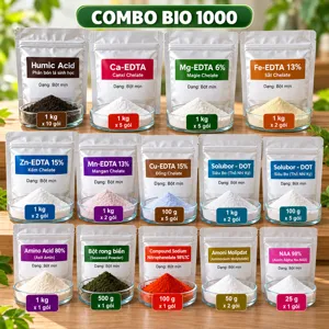 COMBO BIO 1000 – Bộ phối trộn tham khảo gồm HP Humic Acid, tám trung – vi lượng và chất điều hòa liều thấp cho chăm sóc định kỳ