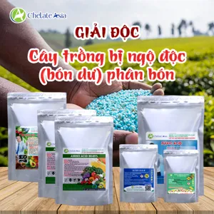 Hình bộ phối trộn COMBO PHỤC HỒI SAU NGỘ ĐỘC PHÂN BÓN (CVGREEN)
