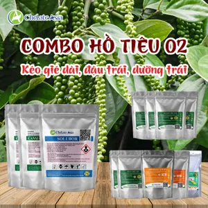 Hình bộ phối trộn COMBO HỒ TIÊU 02 (CVGREEN)