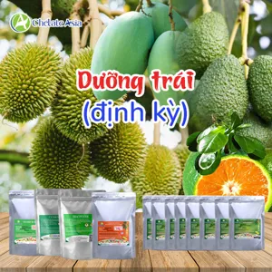 Hình bộ phối trộn COMBO DƯỠNG TRÁI ĐỊNH KỲ (CVGREEN)