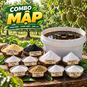 Hình bộ phối trộn COMBO MẬP (CVGREEN)