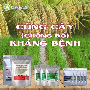 Hình bộ phối trộn COMBO CỨNG CÂY LÚA (CVGREEN)
