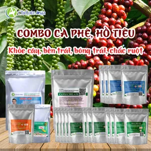 Hình bộ phối trộn COMBO DƯỠNG TRÁI CÀ PHÊ (CVGREEN)