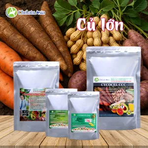 Hình bộ phối trộn COMBO CỦ LỚN DA6-CCC (CVGREEN)
