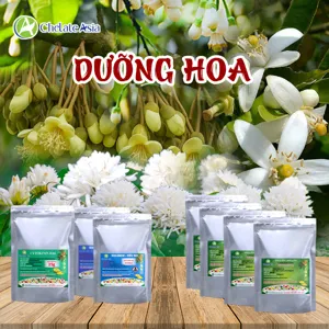 Hình bộ phối trộn COMBO DƯỠNG HOA (CVGREEN)