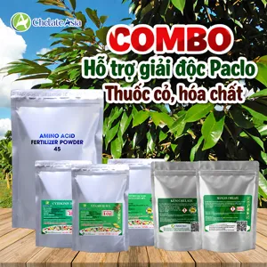 Hình bộ phối trộn COMBO GIẢI ĐỘC (CVGREEN)