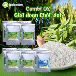 Hình bộ phối trộn COMBO COMBI 02 (CVGREEN)