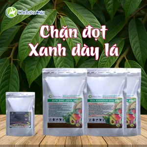 Hình bộ phối trộn COMBO CHẶN ĐỌT UNI (CVGREEN)