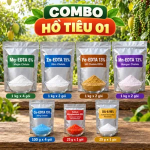COMBO HỒ TIÊU 01 – Bộ phối trộn tham khảo trung, vi lượng chelate giúp tiêu hồi phục và ra cơi cành sau thu hoạch
