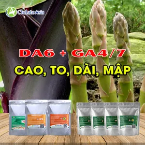 Hình bộ phối trộn COMBO DA6 + GA4/7 (CVGREEN)