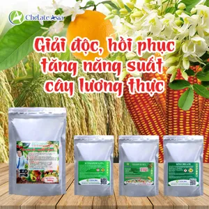 Hình bộ phối trộn COMBO RUTIN (CVGREEN)