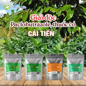 Hình bộ phối trộn COMBO GIẢI ỨC CHẾ PACLO (cải tiến) (CVGREEN)