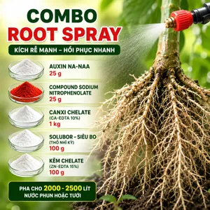 Hình bộ phối trộn COMBO ROOT SPRAY (CVGREEN)