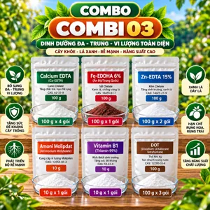 COMBO COMBI 03 – Bộ phối trộn tham khảo canxi, bo và vi lượng cho giai đoạn ra hoa, nuôi trái
