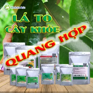 Hình bộ phối trộn COMBO QUANG HỢP (CVGREEN)