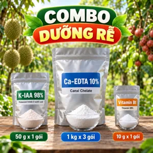 COMBO DƯỠNG RỄ – Bộ phối trộn tham khảo K-IAA, Vitamin B1 và canxi chelate cho cây cần ra rễ lại