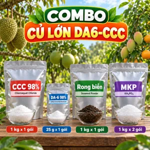COMBO CỦ LỚN DA6-CCC – Bộ phối trộn tham khảo kìm thân lá vống, dồn dinh dưỡng về củ khi cây tích lũy