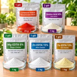 COMBO AMINO GOLD – Bộ phối trộn tham khảo axit amin cùng Mg, Fe, Zn chelate, hướng tới giữ lá xanh và hồi phục cây