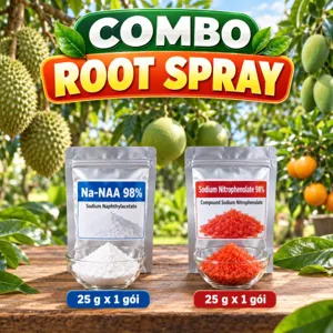 COMBO ROOT SPRAY – Bộ phối trộn tham khảo Na-NAA và nitrophenolate tưới gốc giúp bật rễ mới, hồi phục rễ