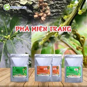 Hình bộ phối trộn COMBO PHÁ MIÊN TRẠNG (CVGREEN)