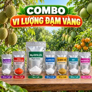 COMBO VI LƯỢNG ĐẠM VÀNG – Bộ phối trộn tham khảo vi lượng chelate và chất điều hòa sinh trưởng để áo hạt 500 kg urê