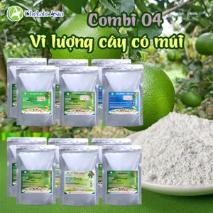 Hình bộ phối trộn COMBO COMBI 04 (CVGREEN)