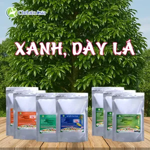 Hình bộ phối trộn COMBO XANH, DÀY LÁ (CVGREEN)