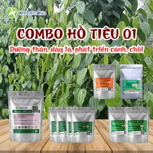 Hình bộ phối trộn COMBO HỒ TIÊU 01 (CVGREEN)