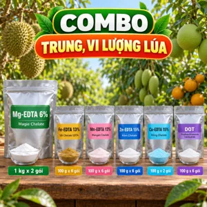 COMBO TRUNG, VI LƯỢNG LÚA – Bộ phối trộn tham khảo chelate Mg, Zn, Fe, Mn, Cu và bo phun lá qua các giai đoạn lúa