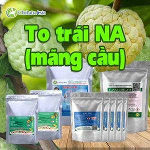 Hình bộ phối trộn COMBO NUÔI QUẢ NA (CVGREEN)