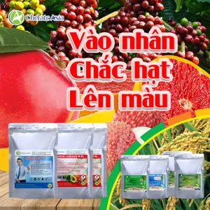 Hình bộ phối trộn COMBO DƯỠNG TRÁI (CVGREEN)