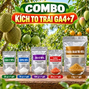 COMBO KÍCH TO TRÁI GA4+7 – CPPU – Bộ phối trộn tham khảo cho trái non đang phân chia tế bào, hướng tới cải thiện kích thước trái